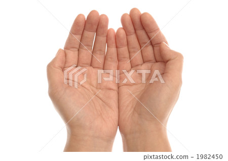 palm, the palm of one's hand, hands 1982450