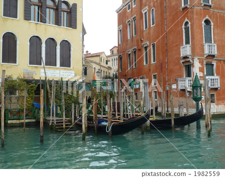 Vendia's Gondola stop 1982559