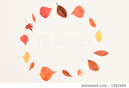 circle, circular, circular form 1982908