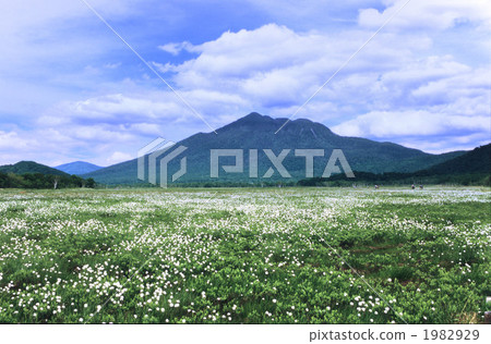 Watasu gorgeous Ozegahara 1982929