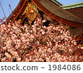 ume, shrines and temples, kitano shrine 1984086