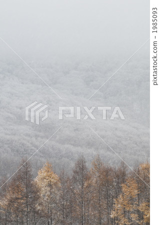 雲,雪山和落葉 雲,雪山和落葉 1985093