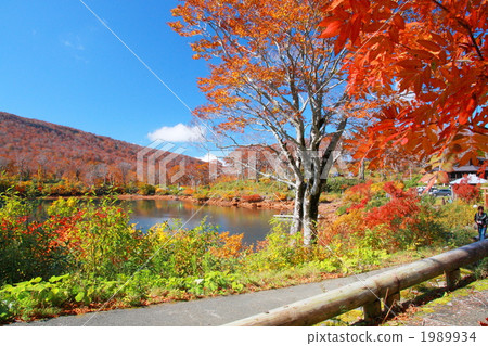 秋葉的Sugawa湖 1989934