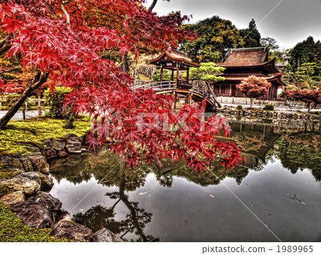 日本園林 日式花園 日本庭院 1989965