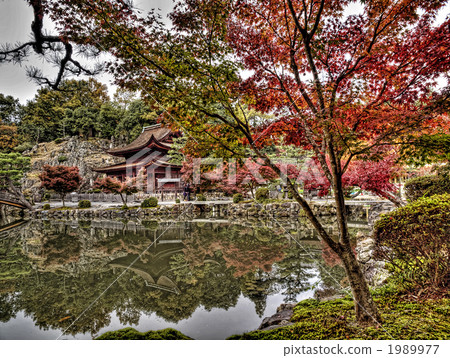 Japanese Gardens, japanese-style garden, pond 1989977