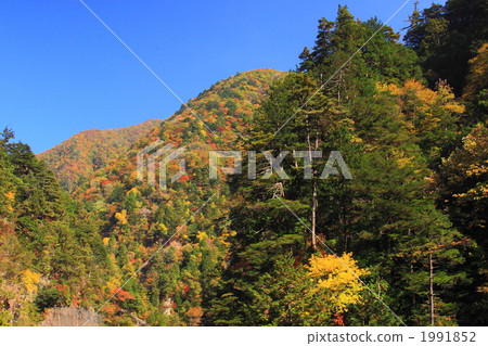 秋天晴朗的Kawaura谷 1991852