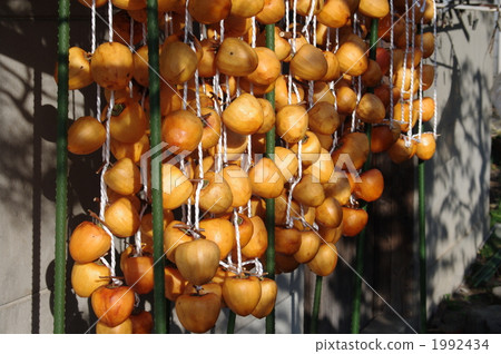 Dried persimmon 1992434