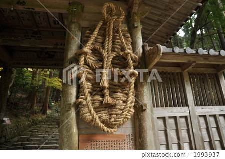 佛·百濟吉 佛·百濟吉 1993937