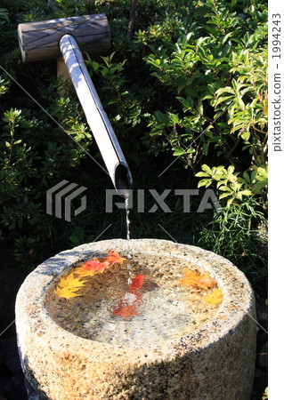 Hand bowl 1 1994243