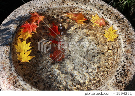 Hand bowl 2 1994251