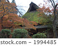 folk house, tree, wood 1994485