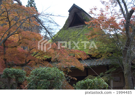 folk house, tree, wood 1994485
