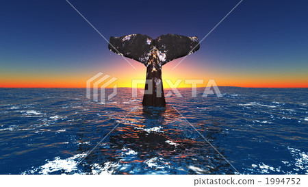 whale, whales, tail and fins 1994752