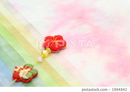 Plum and Japanese paper 1994842