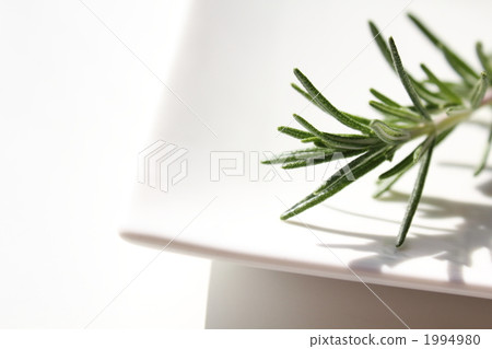 Kitchen image 1994980