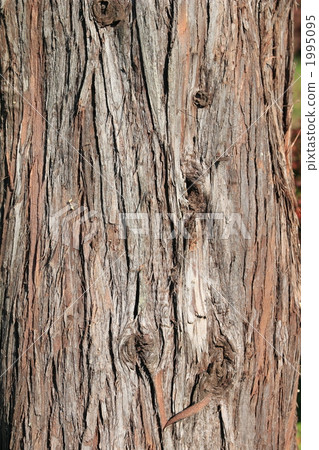 Koyumaki Koyumaki 1995095