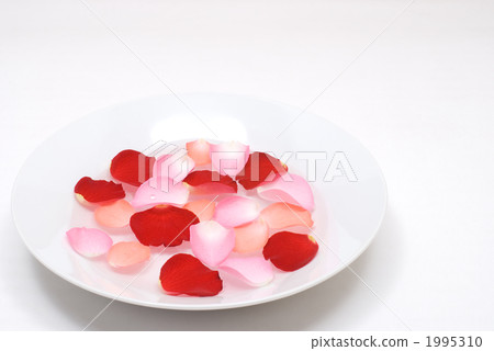 A rose petal floating on a dish and water 1995310