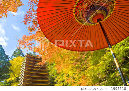 Umbrellas and colored leaves 1995518