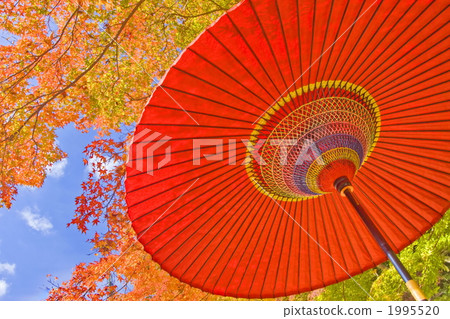 Umbrellas and colored leaves Umbrellas and colored leaves 1995520