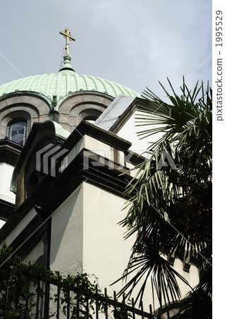 Shrub Tree and Nikolaito Spire 1995529