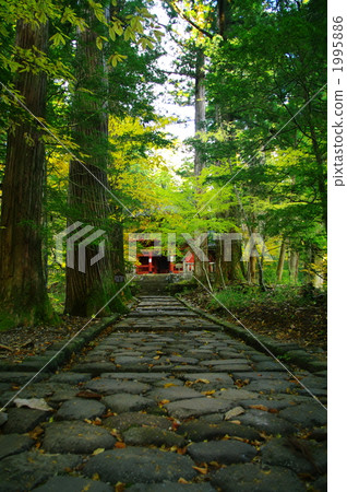 寺 寺院 佛堂 1995886