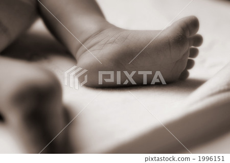 嬰兒的腳 腳 英尺 1996151