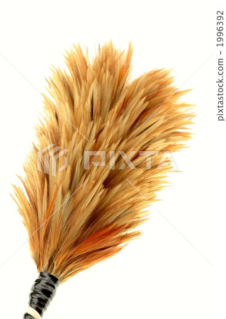 拍打頭髮 1996392