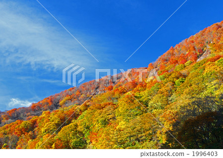山的秋葉和藍天 1996403