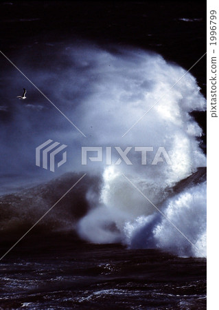 sea surface, surface of the sea, wave 1996799