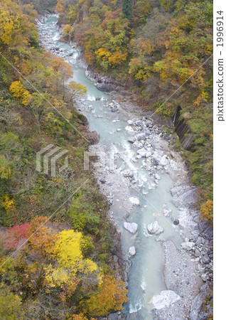 Hakusan Super-forest road autumn leaves 1996914