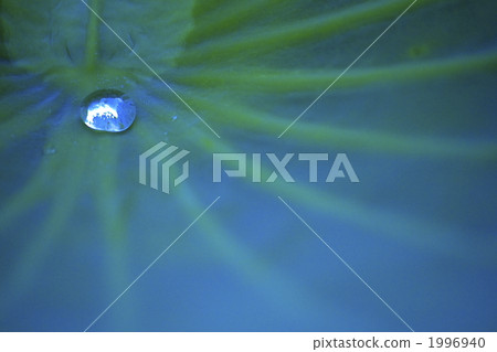One drop of drops 1996940