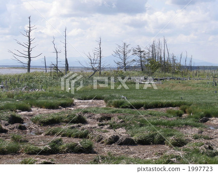 Notsuken半島·Todwara 1997723