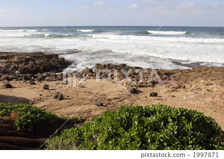 Beach community group of Napaka @ Oahu Beach community group of Napaka @ Oahu 1997871