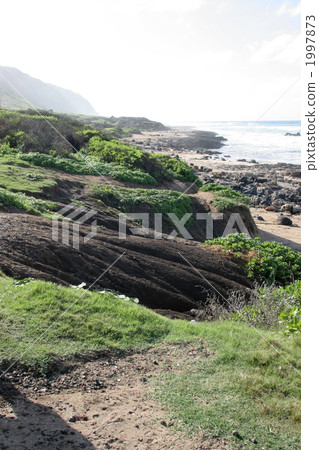 Beach community group of Napaka @ Oahu Beach community group of Napaka @ Oahu 1997873