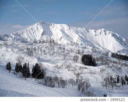Mt. Mt. 1999121