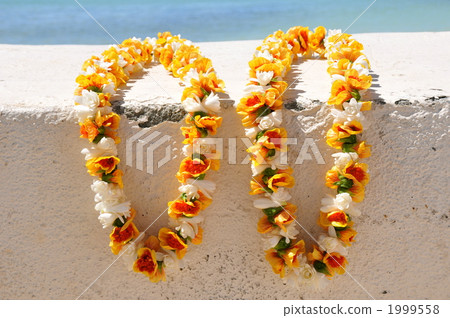 Ray of memories 1999558