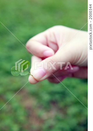 body parts, honeywort, female hand 2000344