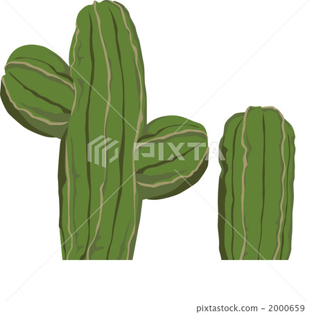 Cactus Cactus 2000659