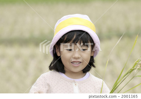 Rice harvesting experience Rice harvesting experience 2001165