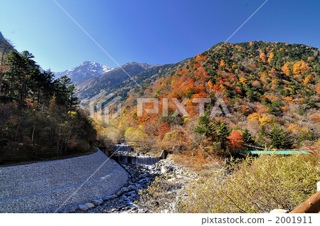 The autumnal leaves of Hirokawara 2001911