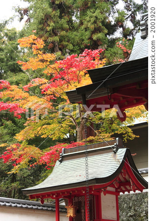 Hirakata Yama Hachimangu Shrine 2001920
