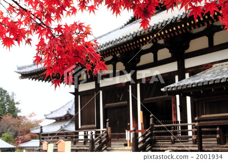 HokkeDo HokkeDo 2001934