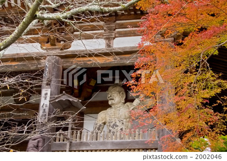 Yoshino-san Zaodado Niimon 2002046