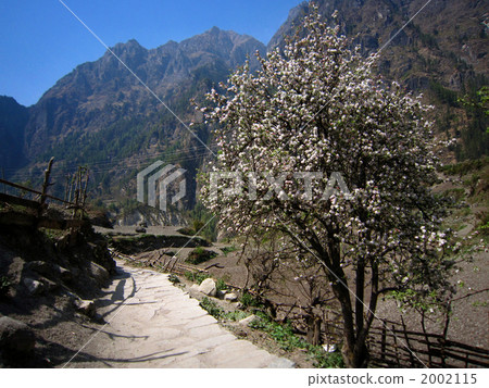 In the direction of Annapurna near Zerme In the direction of Annapurna near Zerme 2002115