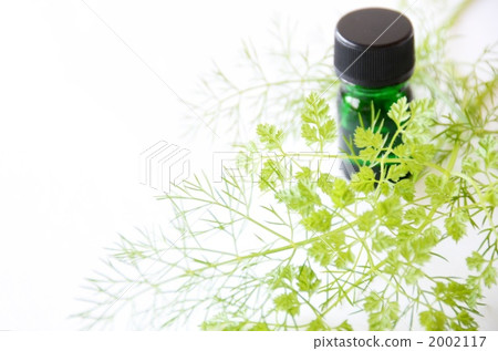 Aroma and herbs Aroma and herbs 2002117