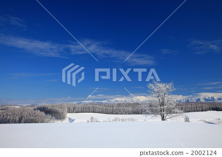 Biei trees and snow scenery 03 Biei trees and snow scenery 03 2002124