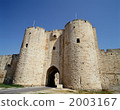 Castle gate of Egmolt, France 2003167
