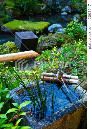 Hand bowl · deer · garden (real hospitals · Ikeizumi recreational garden / Sakyo ward, Kyoto city) Hand bowl · deer · garden (real hospitals · Ikeizumi recreational garden / Sakyo ward, Kyoto city) 2003647