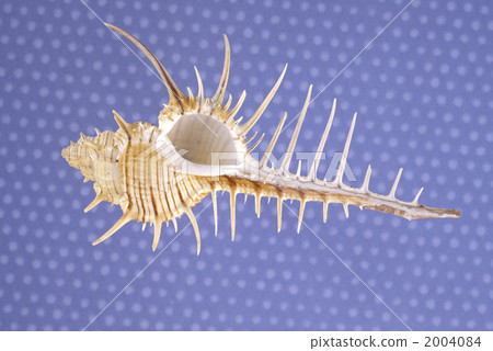 40224 Honeymai 2004084