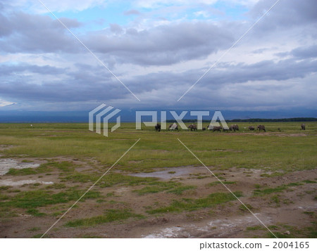 Kenya African elephant family Kenya African elephant family 2004165